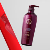 [Daeng Gi Meo Ri] Shampoo For Oily Scalp