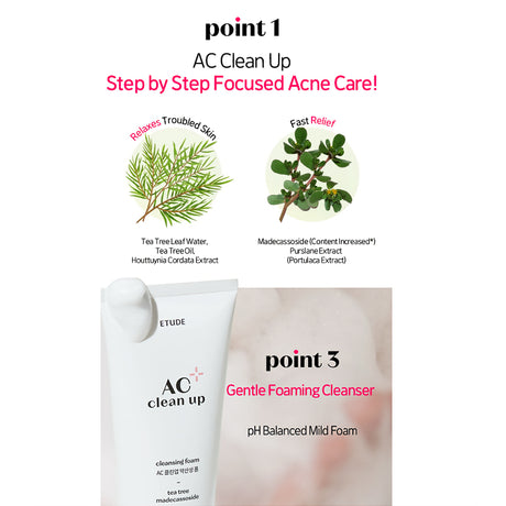 [ETUDE] AC Clean Up Reinigungsschaum