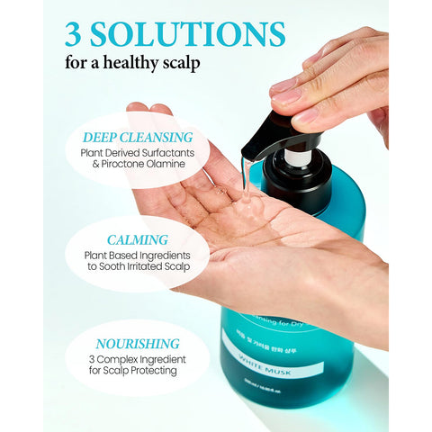 Kundal Dandruff Relief Shampoo Apple Green Tea – Yeppo & Soonsoo