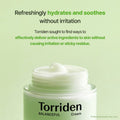Torriden Balanceful Cica Cream info